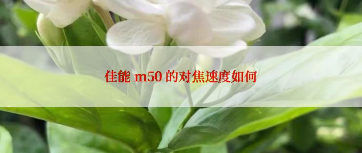 佳能 m50 的对焦速度如何