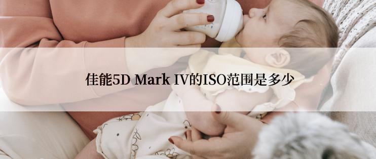  佳能5D Mark IV的ISO范围是多少