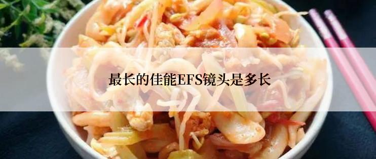  最长的佳能EFS镜头是多长