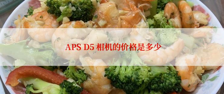  APS D5 相机的价格是多少