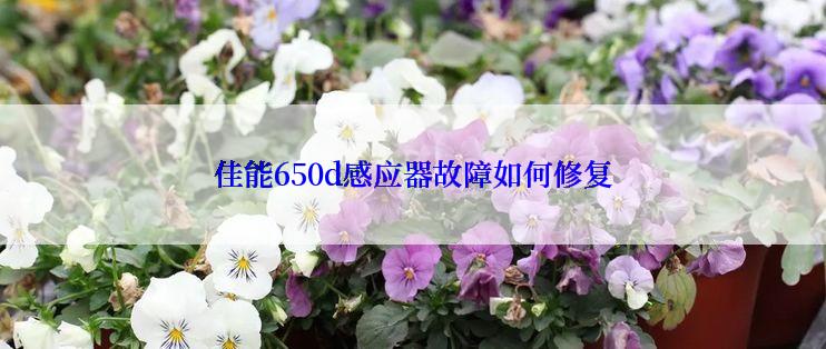 佳能650d感应器故障如何修复