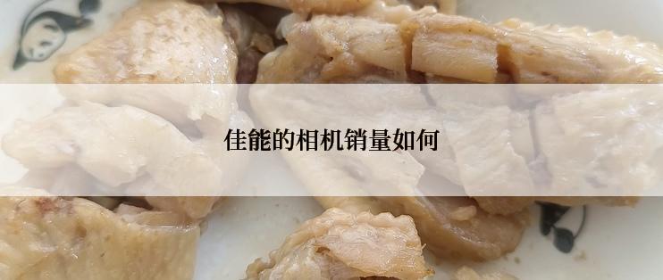 佳能的相机销量如何