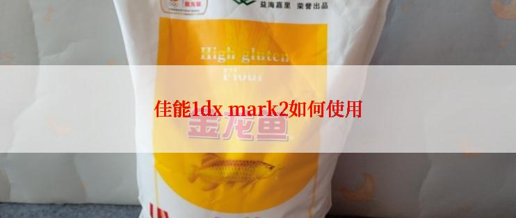 佳能1dx mark2如何使用