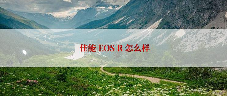  佳能 EOS R 怎么样