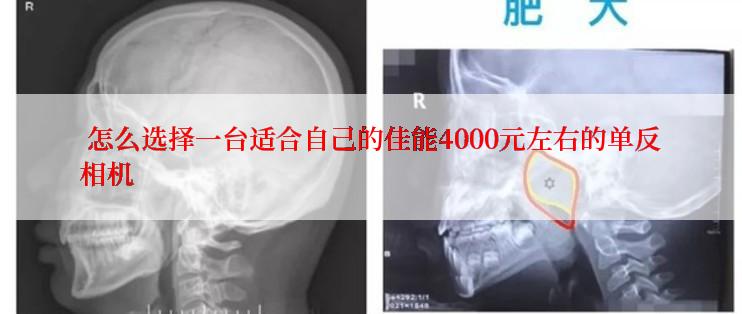  怎么选择一台适合自己的佳能4000元左右的单反相机