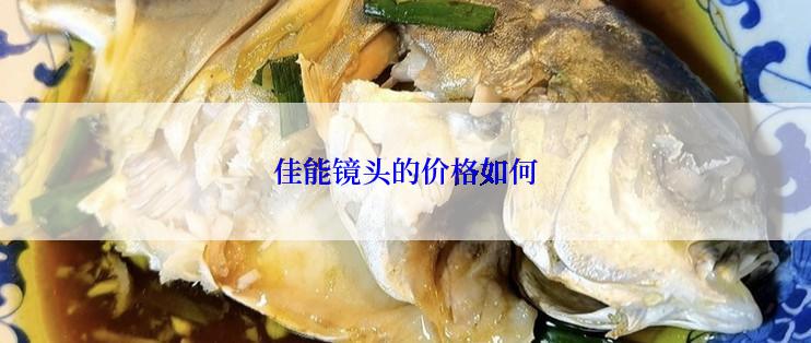 佳能镜头的价格如何