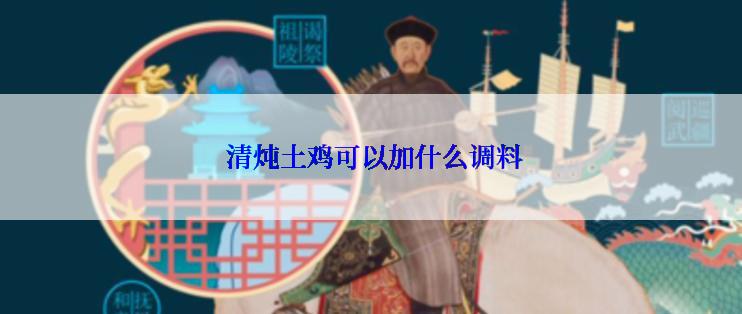  清炖土鸡可以加什么调料