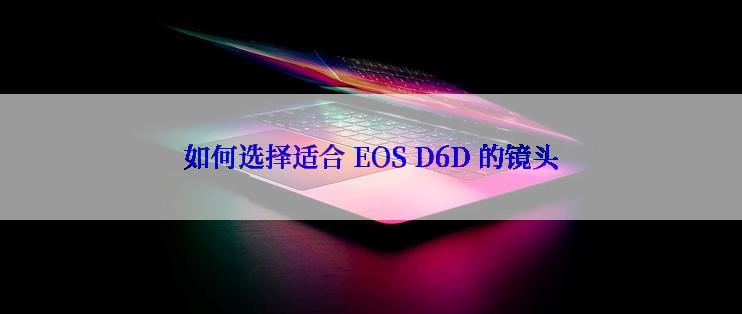 如何选择适合 EOS D6D 的镜头