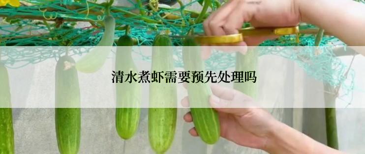  清水煮虾需要预先处理吗