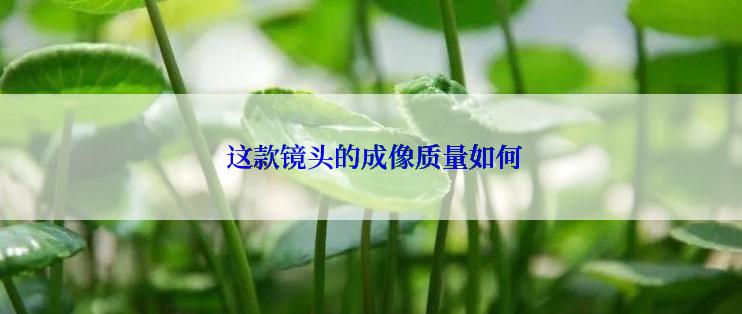  这款镜头的成像质量如何