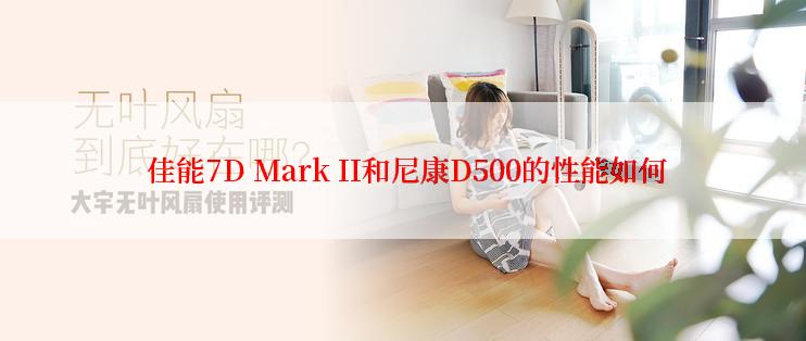  佳能7D Mark II和尼康D500的性能如何