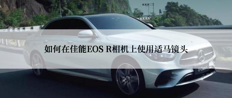 如何在佳能EOS R相机上使用适马镜头