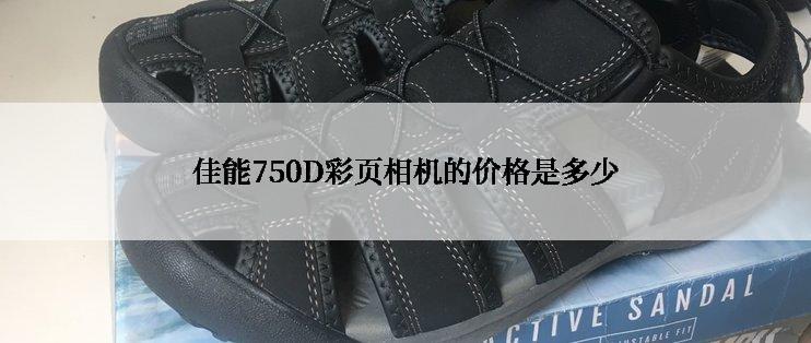 佳能750D彩页相机的价格是多少