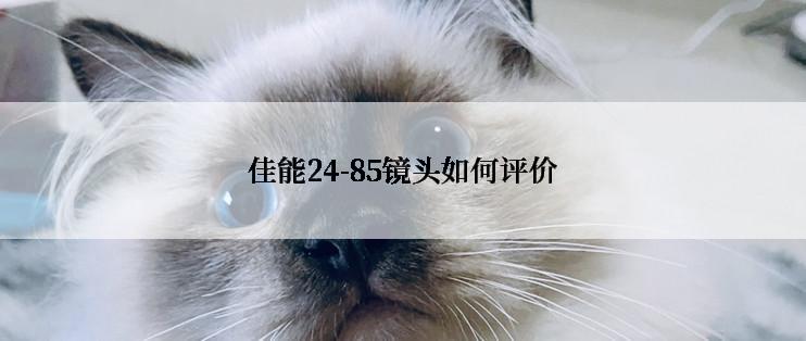 佳能24-85镜头如何评价