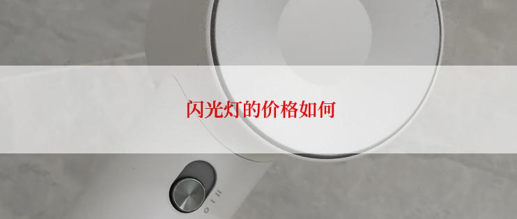  闪光灯的价格如何