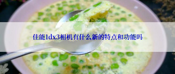 佳能1dx3相机有什么新的特点和功能吗