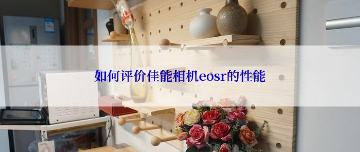 如何评价佳能相机eosr的性能