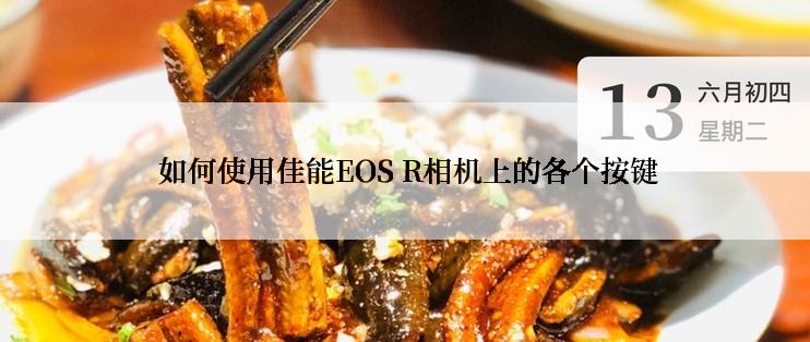  如何使用佳能EOS R相机上的各个按键