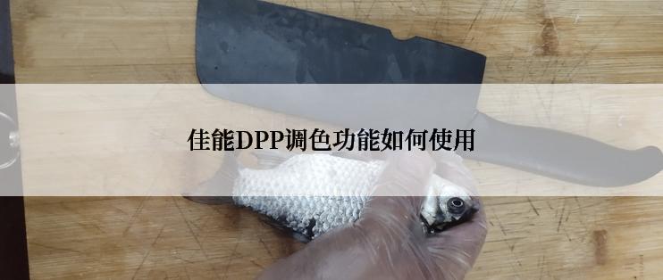 佳能DPP调色功能如何使用