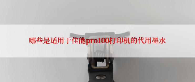 哪些是适用于佳能pro100打印机的代用墨水