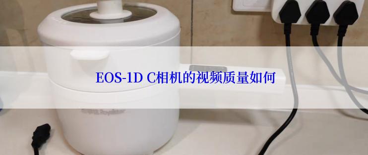  EOS-1D C相机的视频质量如何