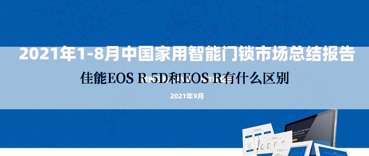 佳能EOS R 5D和EOS R有什么区别