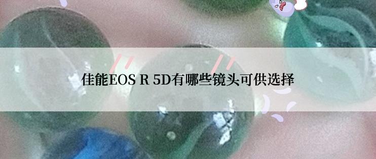 佳能EOS R 5D有哪些镜头可供选择