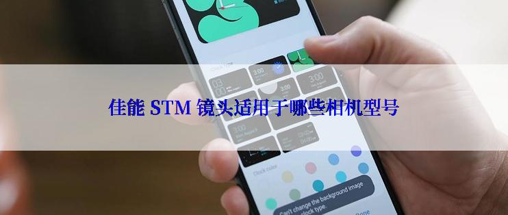 佳能 STM 镜头适用于哪些相机型号