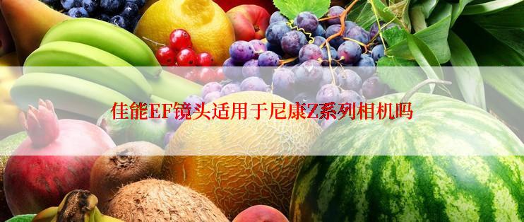 佳能EF镜头适用于尼康Z系列相机吗