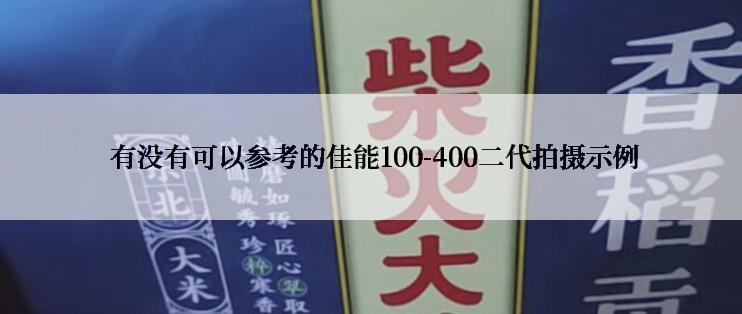  有没有可以参考的佳能100-400二代拍摄示例