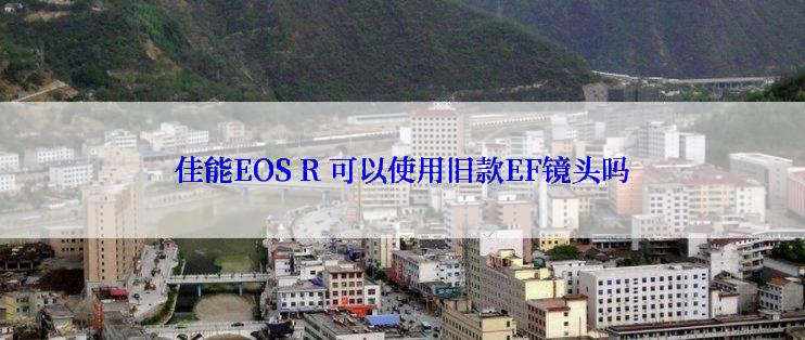 佳能EOS R 可以使用旧款EF镜头吗