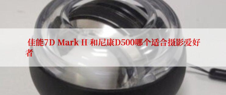  佳能7D Mark II 和尼康D500哪个适合摄影爱好者