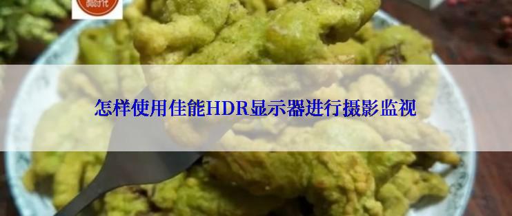 怎样使用佳能HDR显示器进行摄影监视