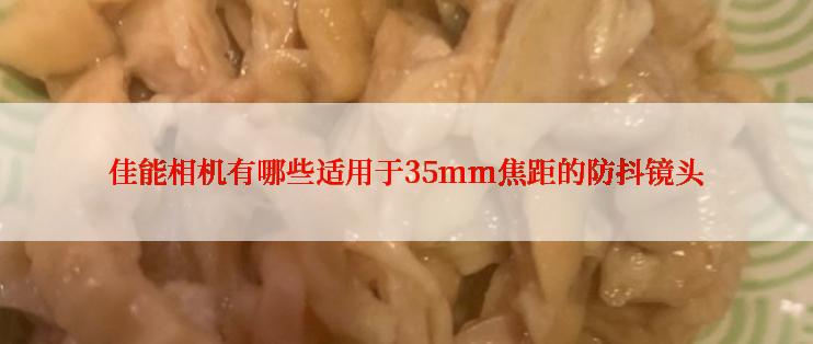 佳能相机有哪些适用于35mm焦距的防抖镜头