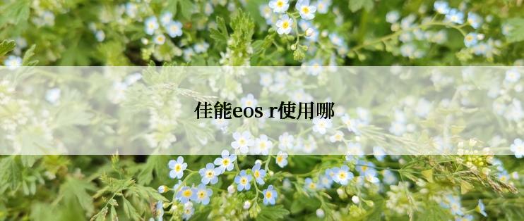  佳能eos r使用哪