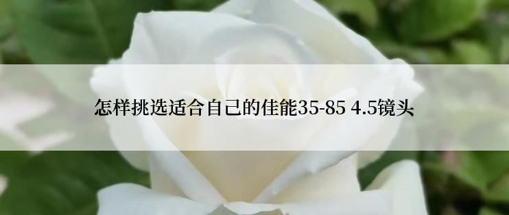 怎样挑选适合自己的佳能35-85 4.5镜头