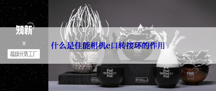 什么是佳能相机e口转接环的作用