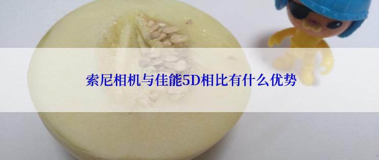  索尼相机与佳能5D相比有什么优势