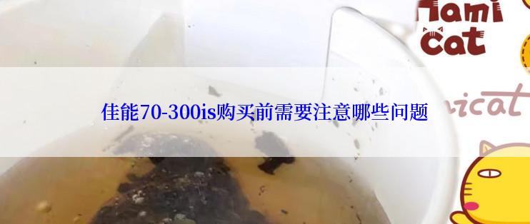 佳能70-300is购买前需要注意哪些问题