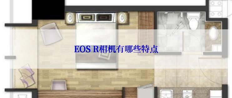 EOS R相机有哪些特点