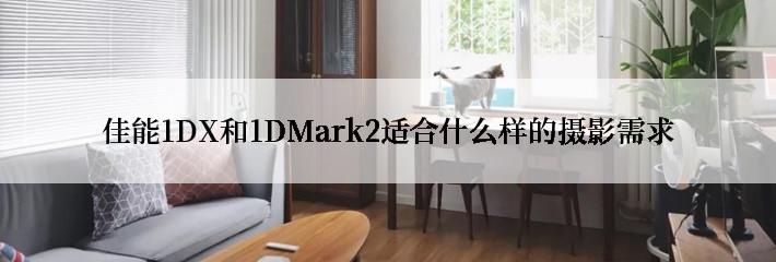 佳能1DX和1DMark2适合什么样的摄影需求