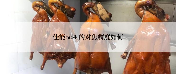 佳能5d4 的对焦精度如何