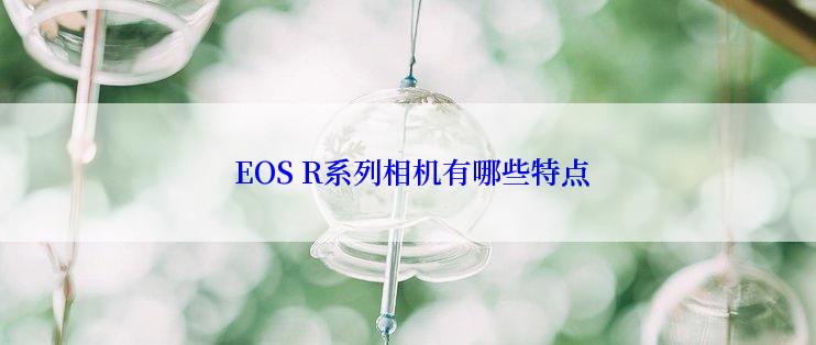  EOS R系列相机有哪些特点