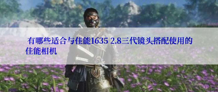  有哪些适合与佳能1635 2.8三代镜头搭配使用的佳能相机