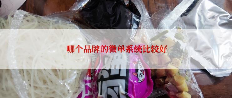  哪个品牌的微单系统比较好