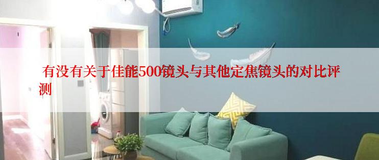  有没有关于佳能500镜头与其他定焦镜头的对比评测