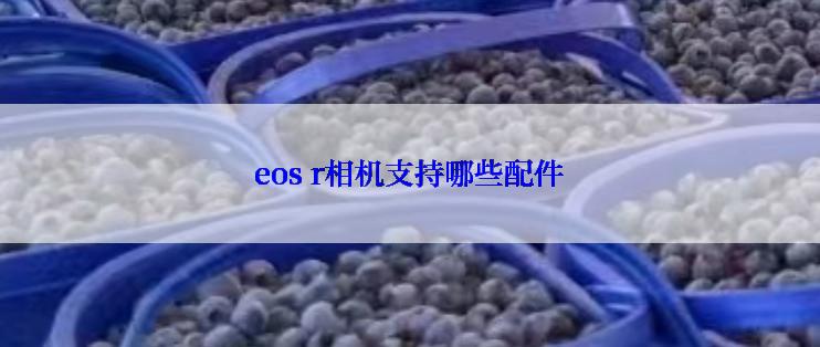 eos r相机支持哪些配件