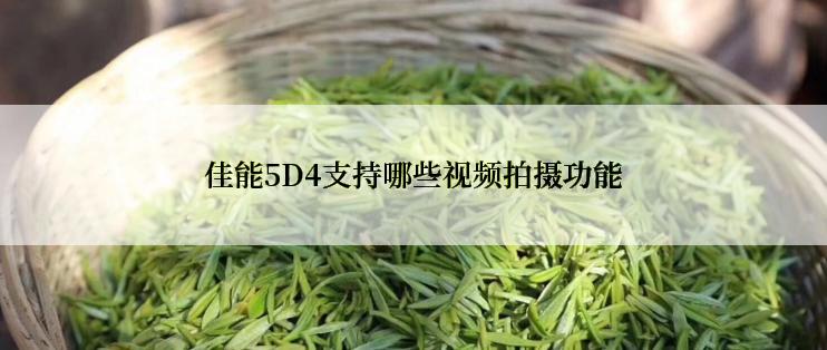 佳能5D4支持哪些视频拍摄功能