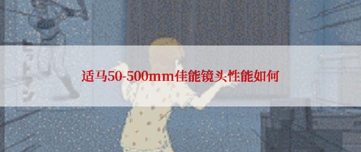 适马50-500mm佳能镜头性能如何