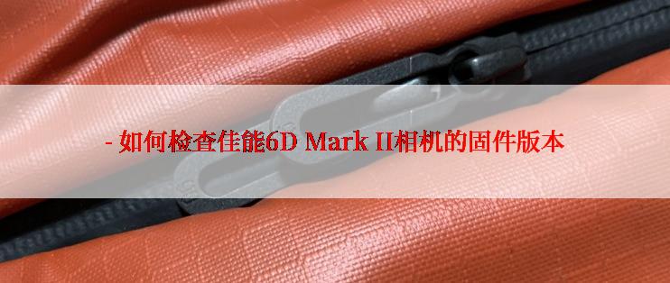 - 如何检查佳能6D Mark II相机的固件版本